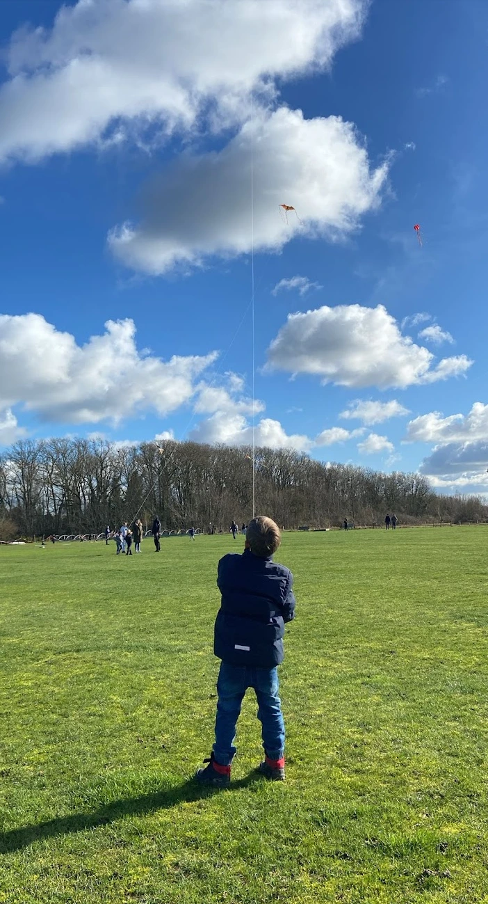 Kite Festival