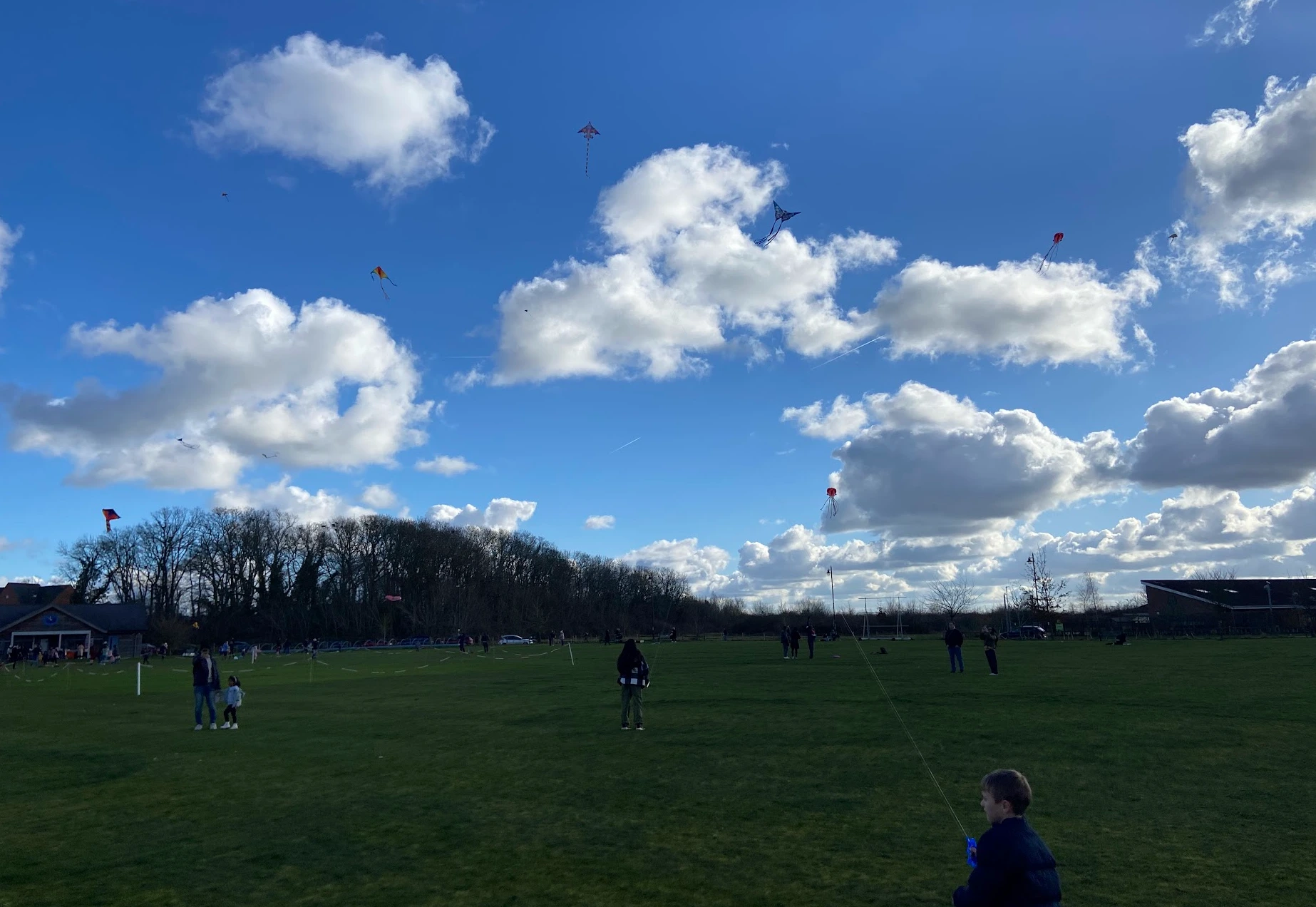 Kite Festival